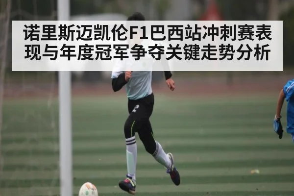 诺里斯迈凯伦F1巴西站冲刺赛表现与年度冠军争夺关键走势分析