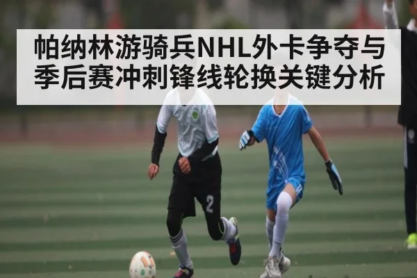 帕纳林游骑兵NHL外卡争夺与季后赛冲刺锋线轮换关键分析